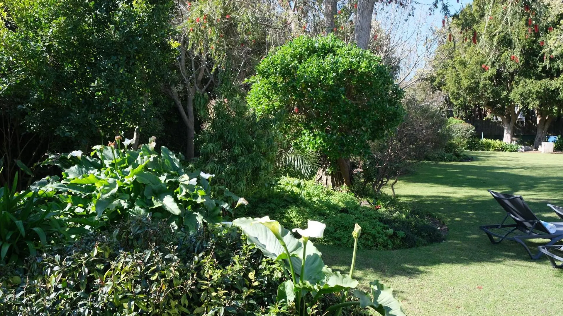 High Hedges Guest Suites Constantia Cape Town